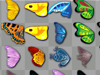 Kyodai-Schmetterlinge